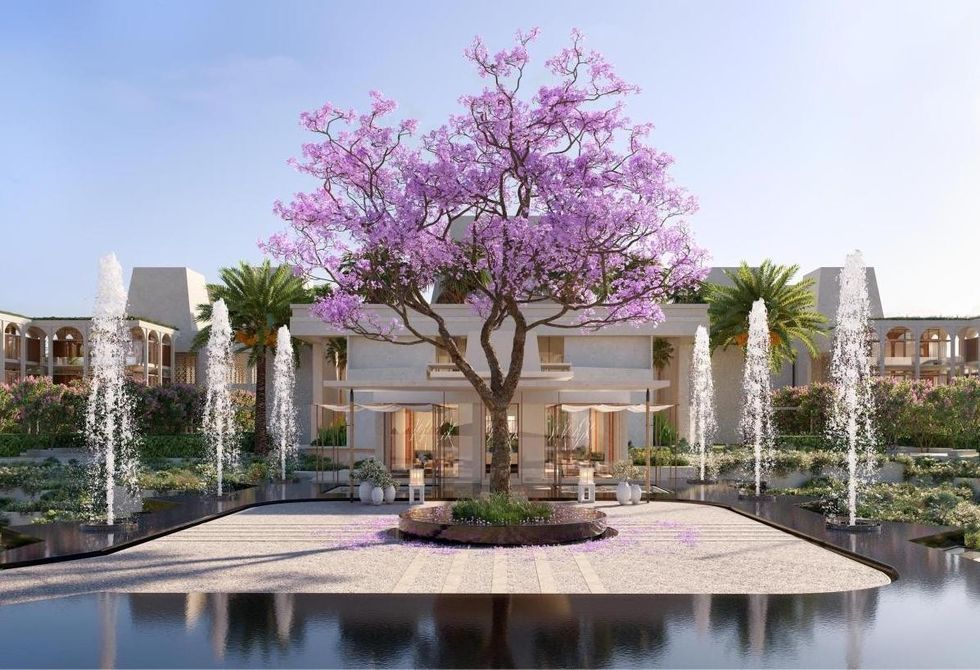 Elegant courtyard with purple-flowered tree, fountains, and a modern building in the background at Amaala