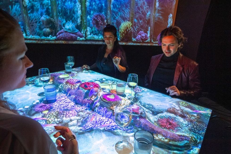 Elementa experience The Gallery