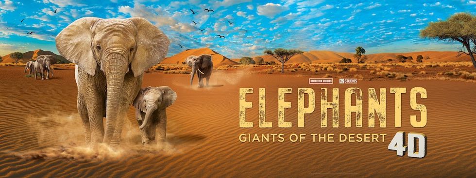 Elephants walking in a desert landscape under a blue sky, with text "Elephants 4D".