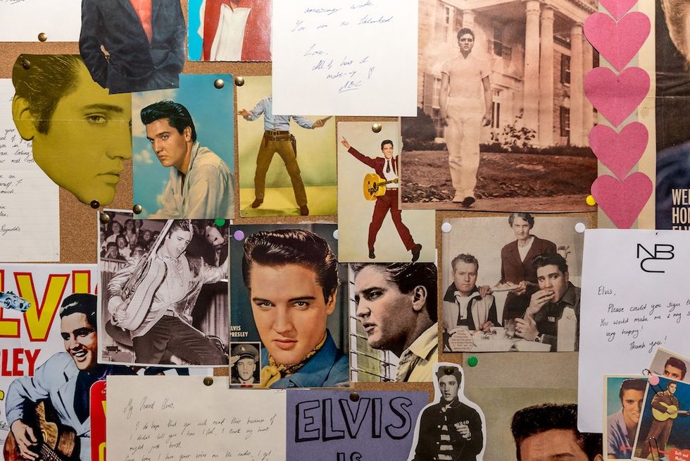 Elvis Evolution pinboard