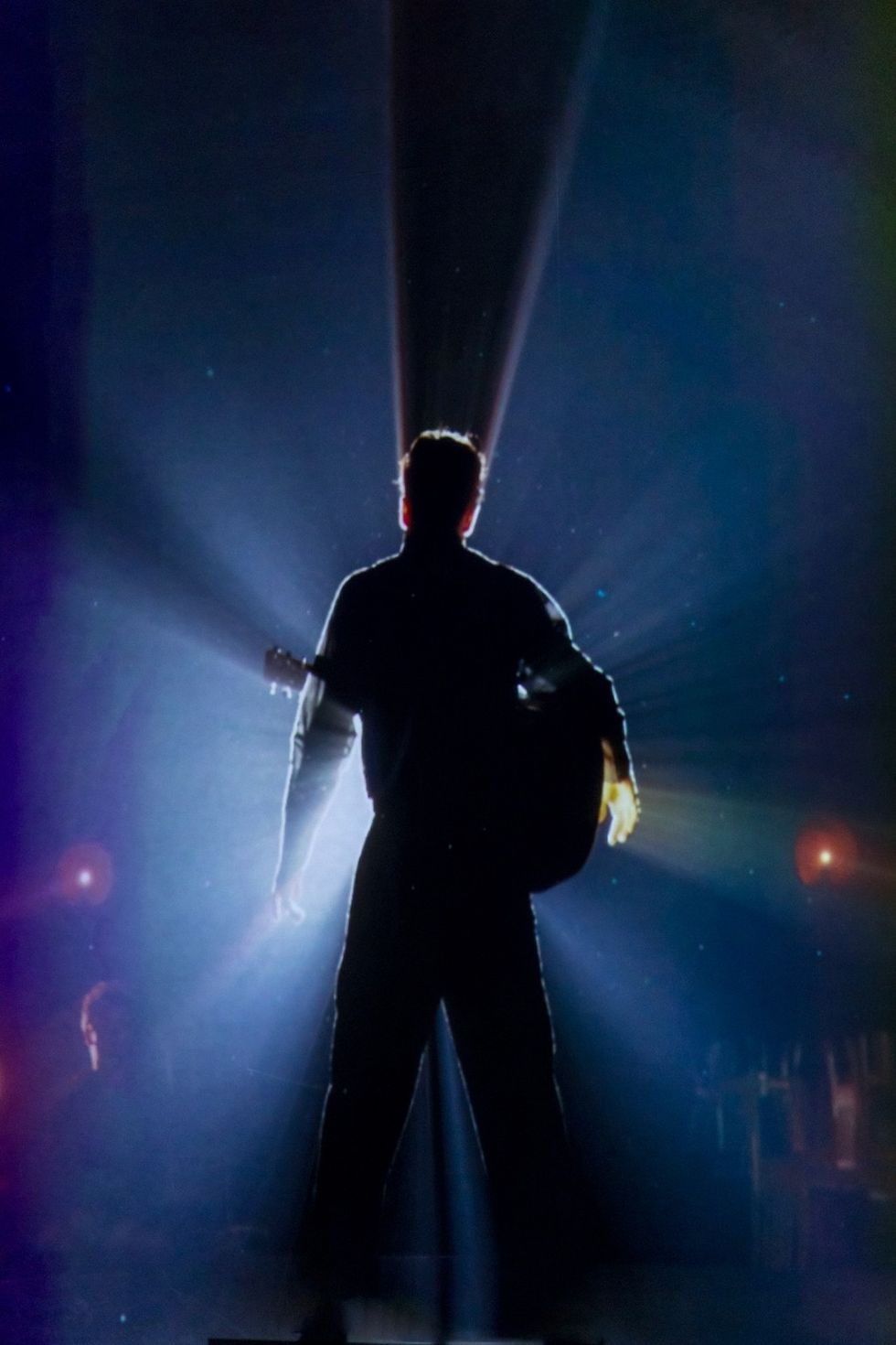 Elvis Evolution silhouette
