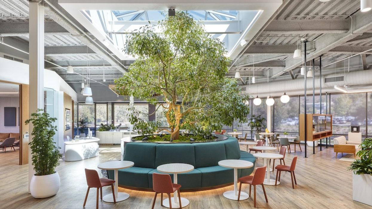 Ember HQ California