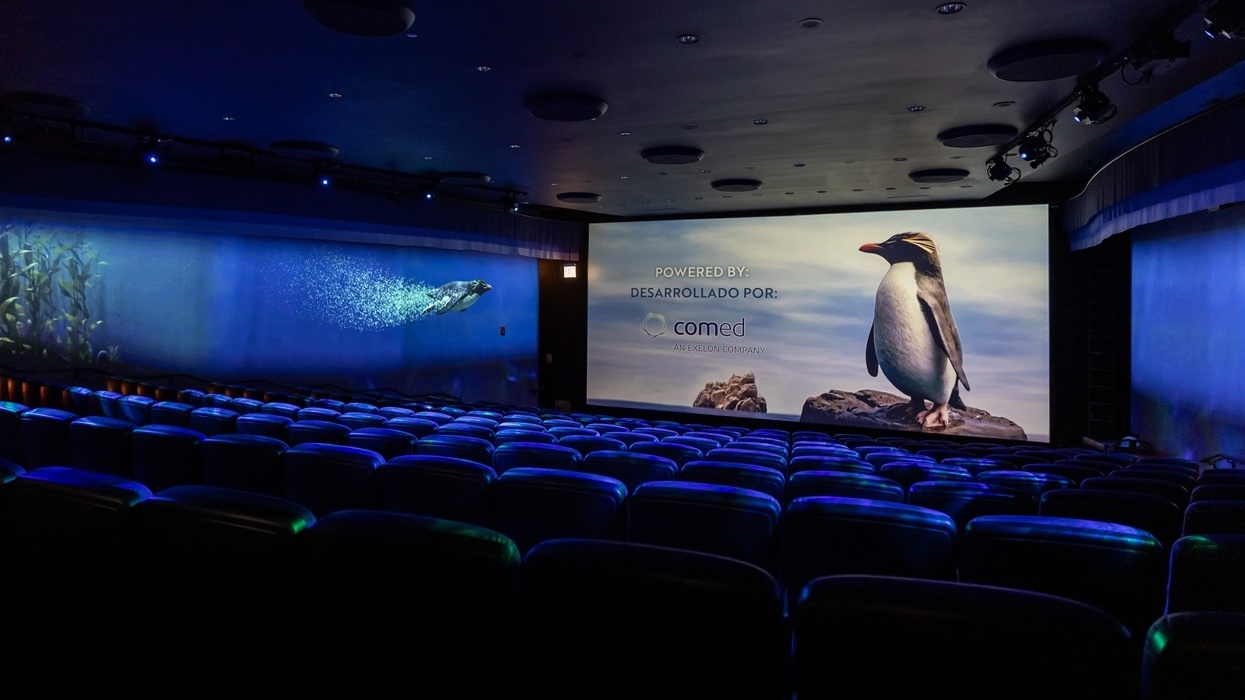 Empty theater with a penguin image on screen and aquatic-themed side walls.