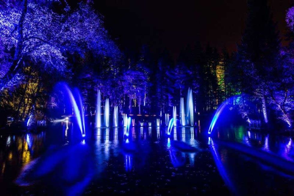 Enchanted Forest Oir an Uisge photography by angus forbes belisama