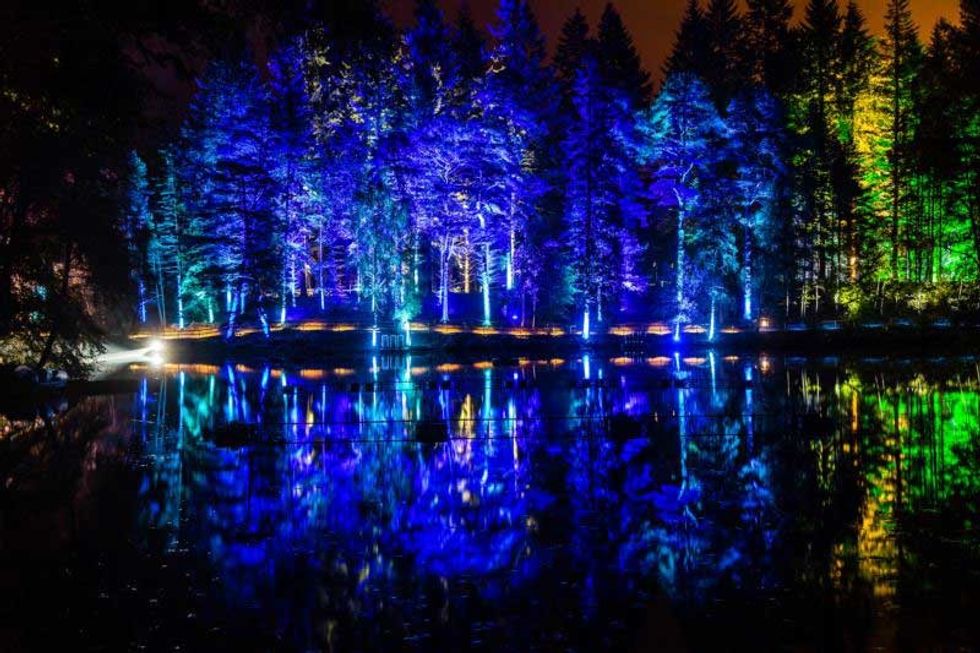 Enchanted Forest Oir an Uisge Photography by Angus Forbes