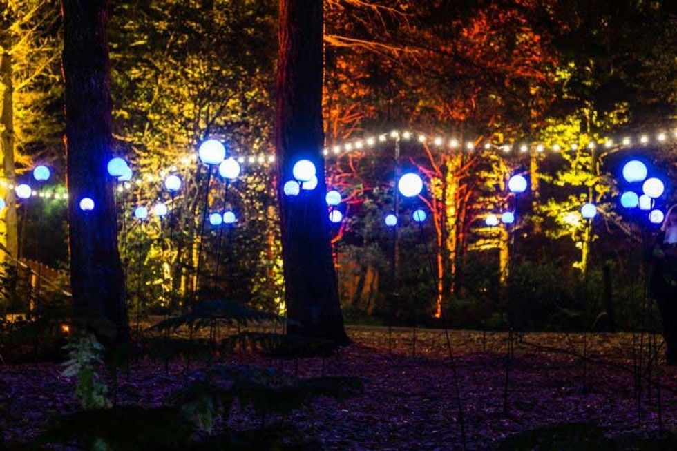 Enchanted Forest Oir an Uisge Photography by Angus Forbes