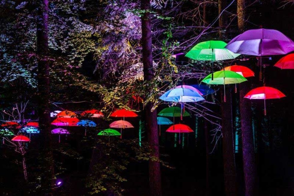 Enchanted Forest Oir an Uisge Photography by Angus Forbes