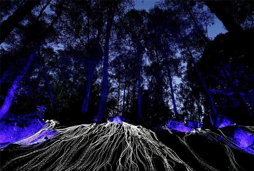 Enchanted Forest Oir an Uisge Photography by NL Productions