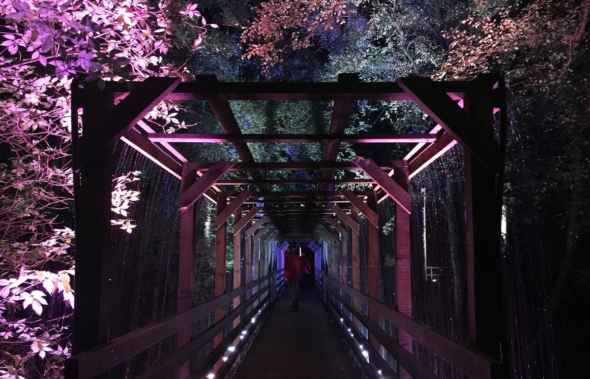 Enchanted Forest Oir an Uisge