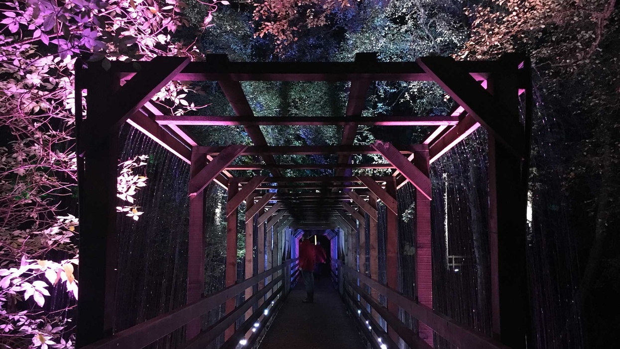 Enchanted Forest Oir an Uisge