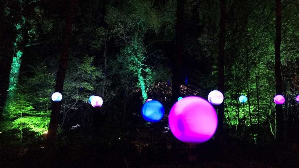 Enchanted Forest Oir an Uisge