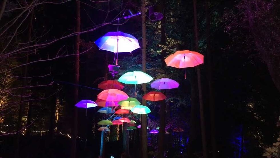 Enchanted Forest Oir an Uisge