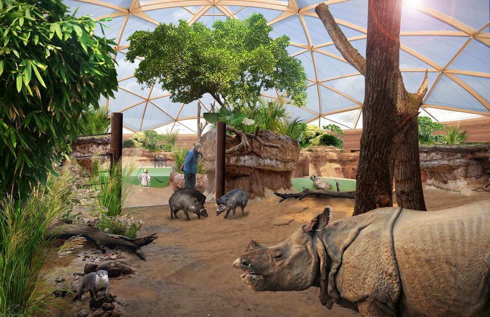 Enclosure at Odense Zoo with rhinoceroses, boars, lush greenery, and visitors under a dome.