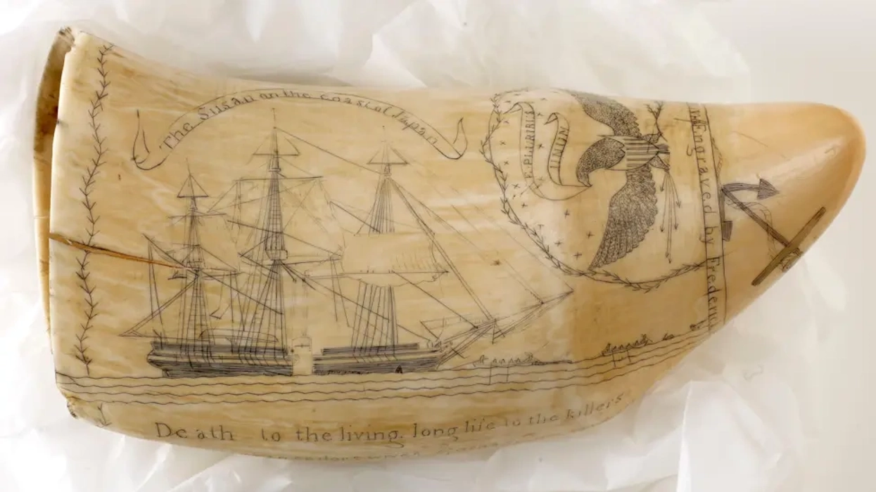 Engraved scrimshaw of a ship, eagle, and inscriptions on a whale tooth.