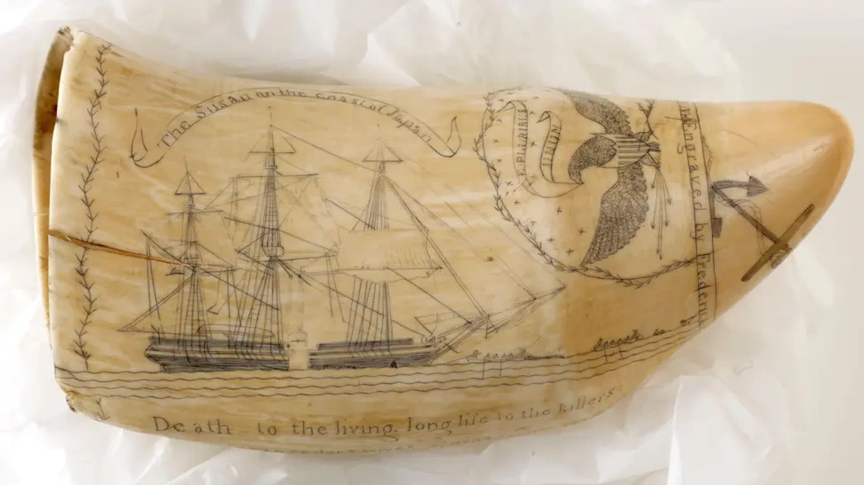 Engraved scrimshaw of a ship, eagle, and inscriptions on a whale tooth.