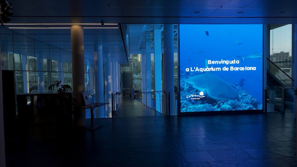 Entrance of L'Aquarium de Barcelona with shark display and welcome sign.