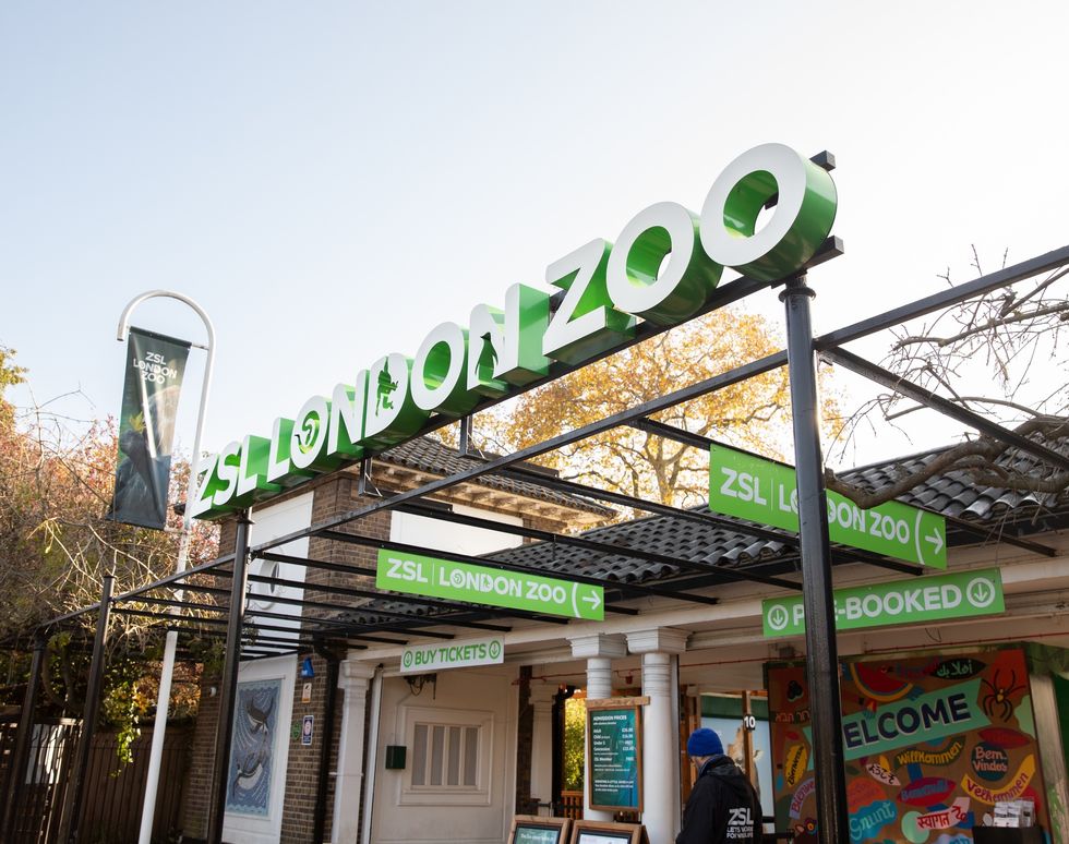 Entrance of ZSL London Zoo with green signage under a clear sky.