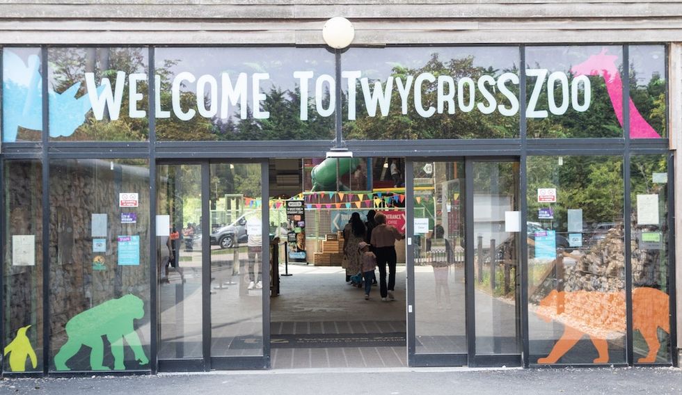 Entrance to Twycross Zoo with colorful animal silhouettes on glass doors.