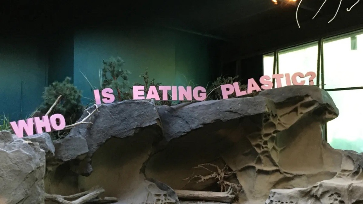 Environment & Culture Partners vancouver aquarium plastic