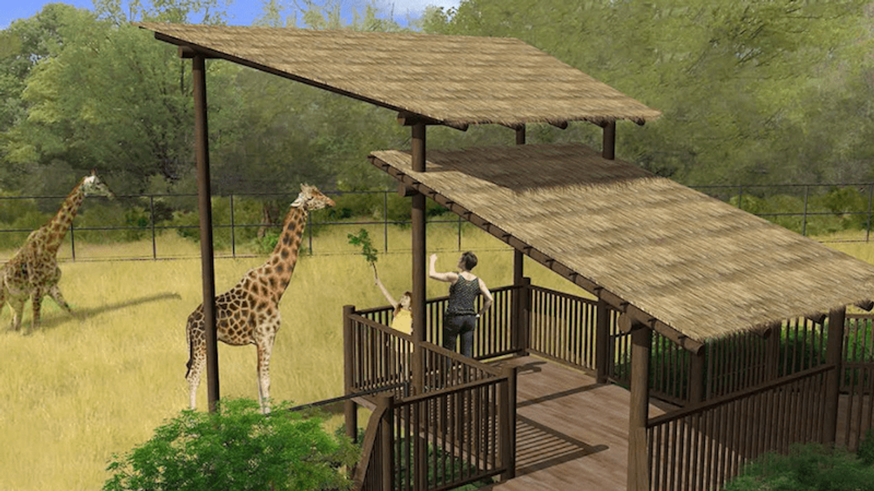erie zoo rendering
