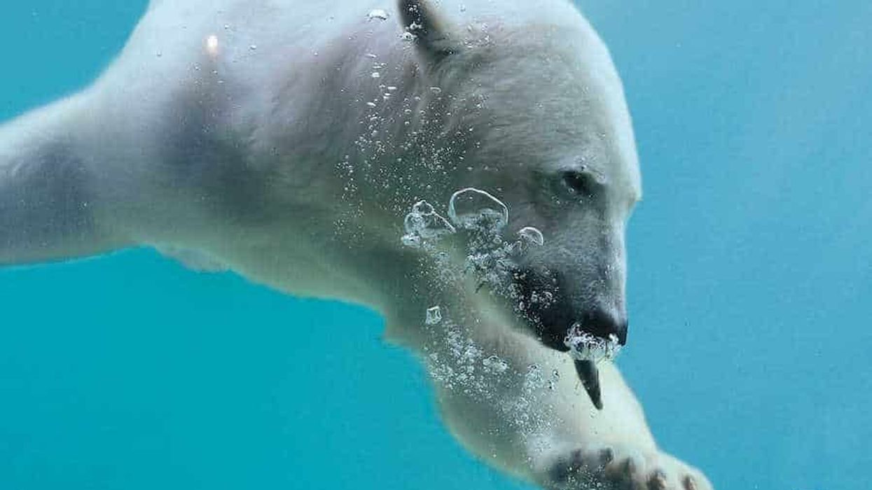 Erlebnis-Zoo Hannover