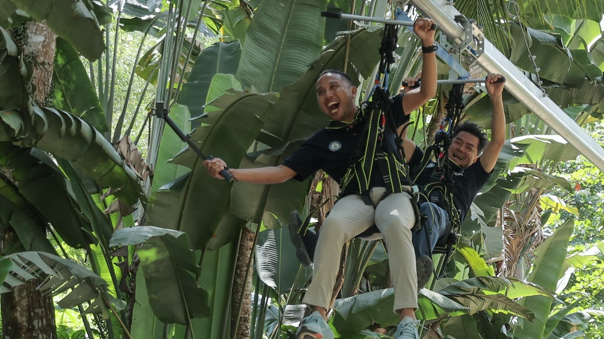 escape penang zip coaster