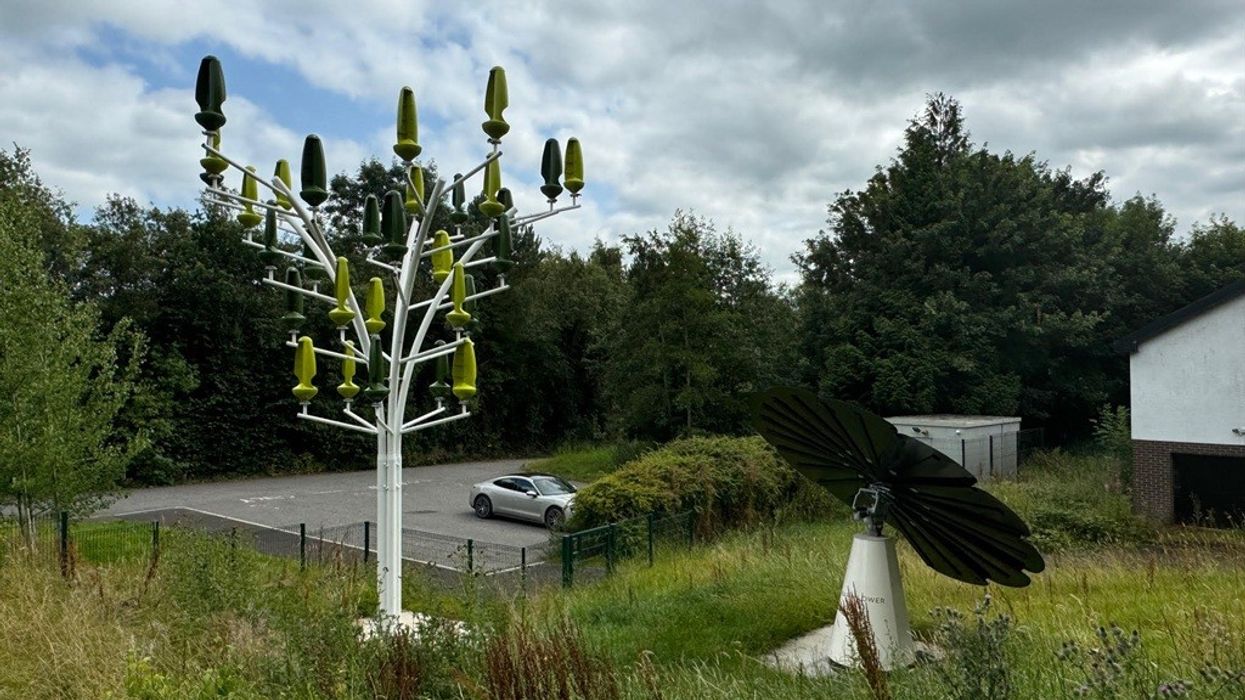 ESF Wind Tree