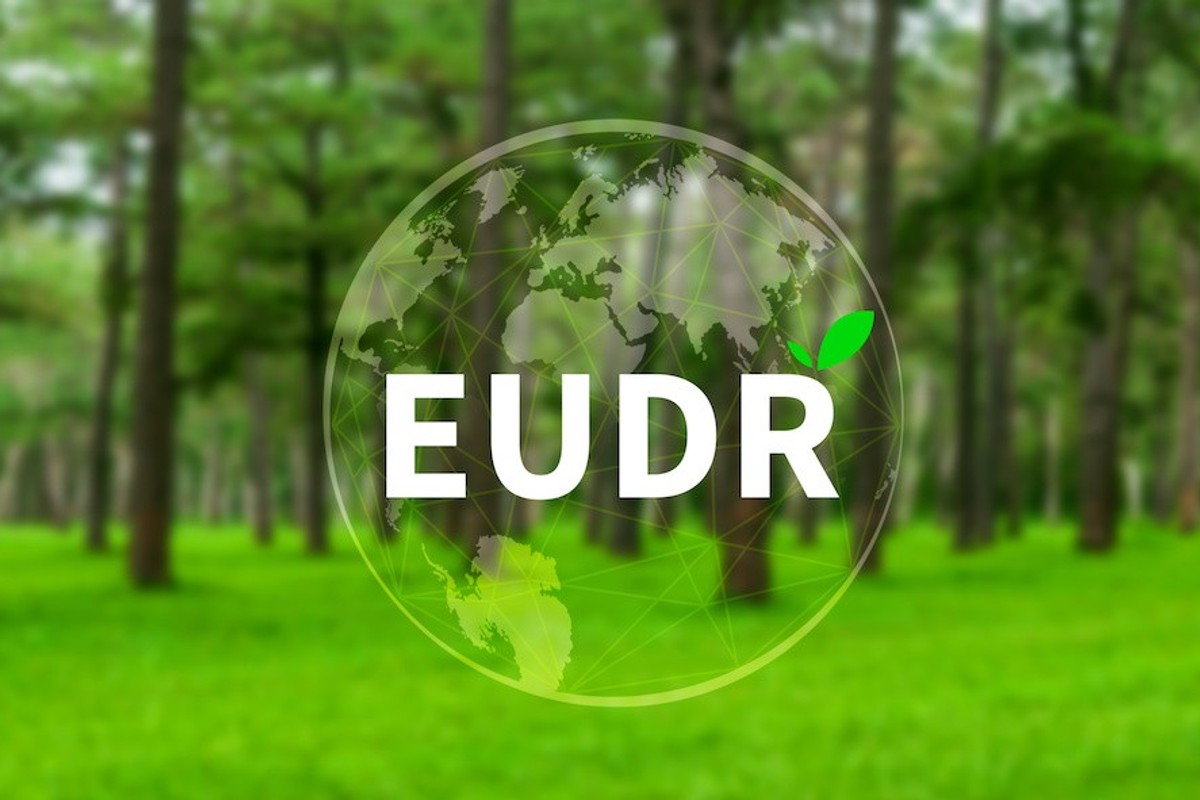"EUDR text overlaid on a forest background, with a globe and green leaf accent."