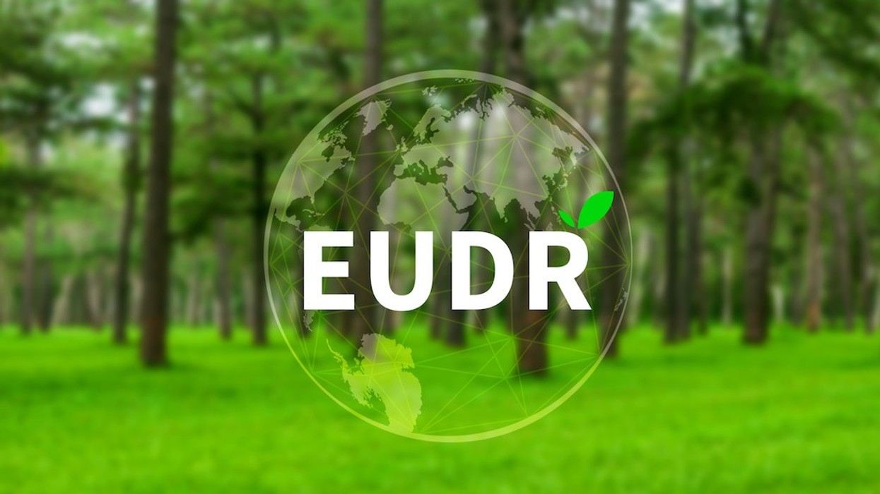 "EUDR text overlaid on a forest background, with a globe and green leaf accent."