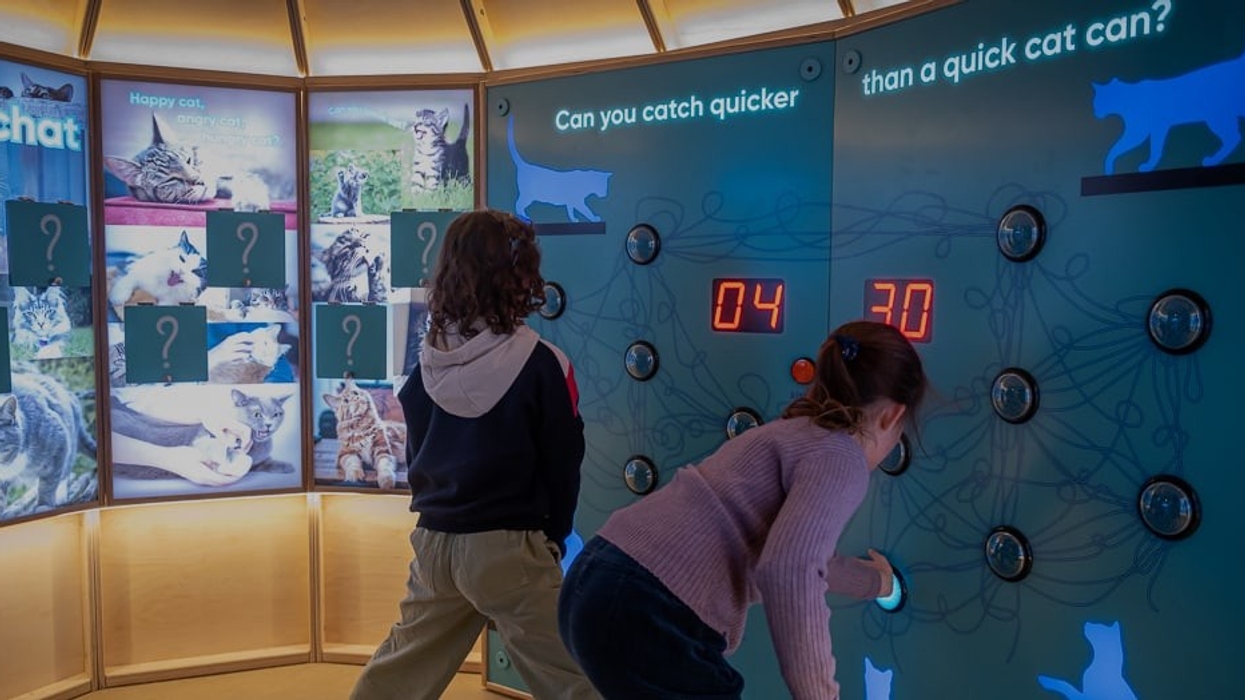 Eureka! Science and Discovery cat interactive