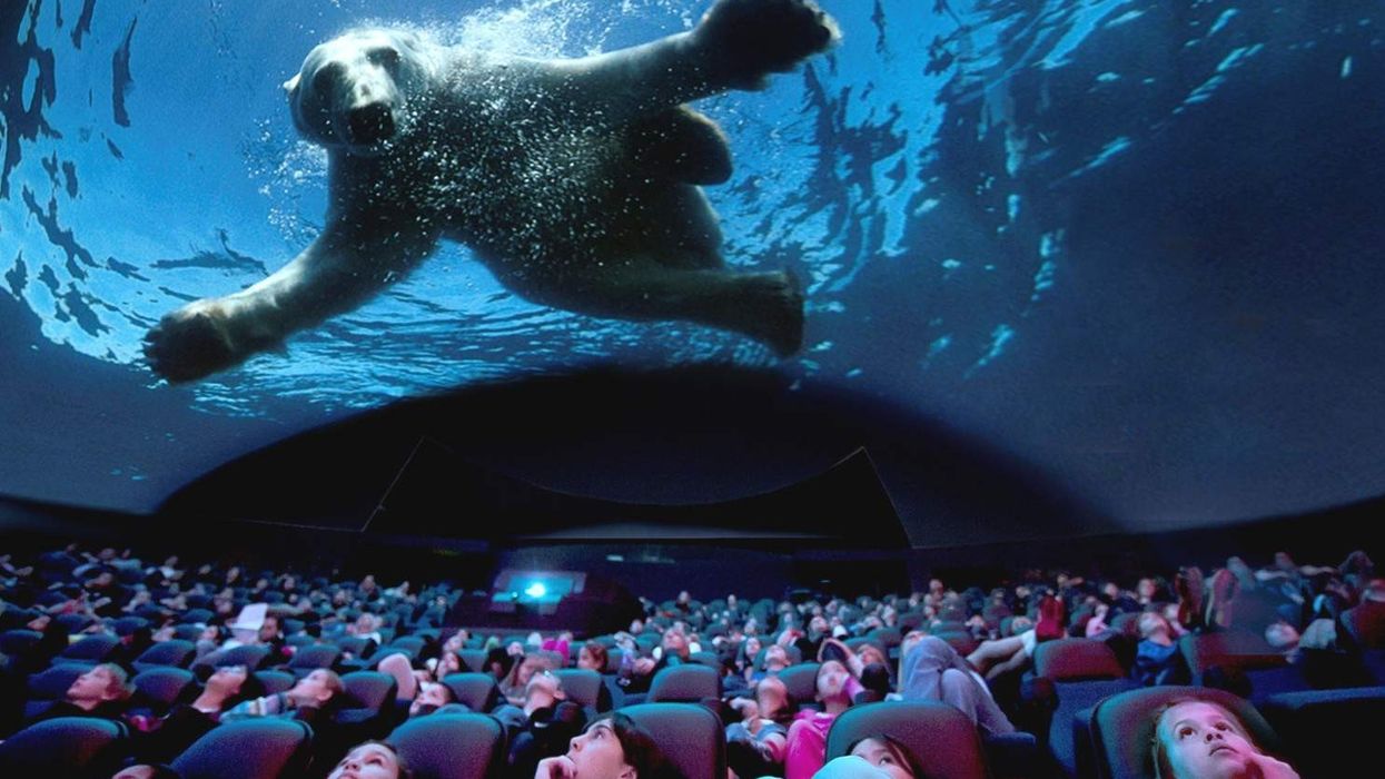 euromax polar bear giant dome cinema