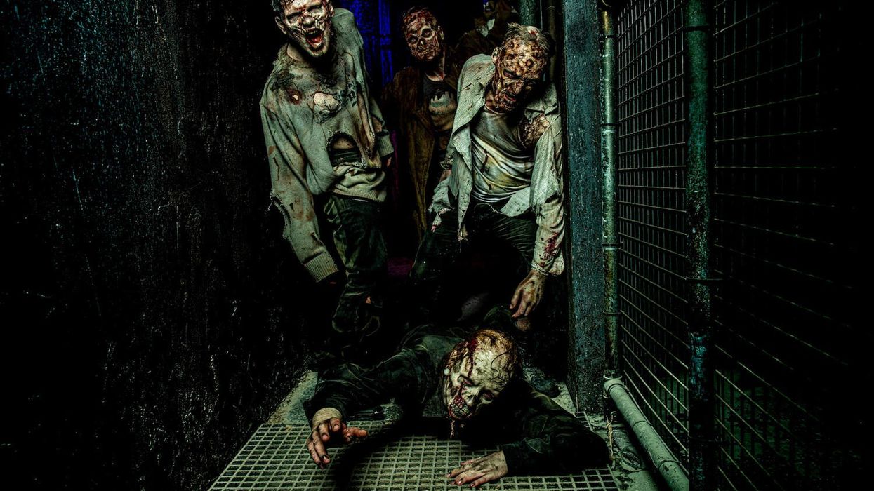 europa-park traumatica