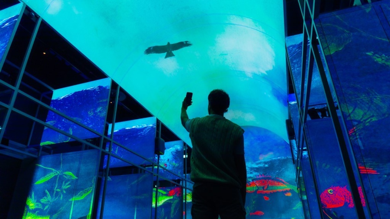 Event Book of Kells courtesy Novak