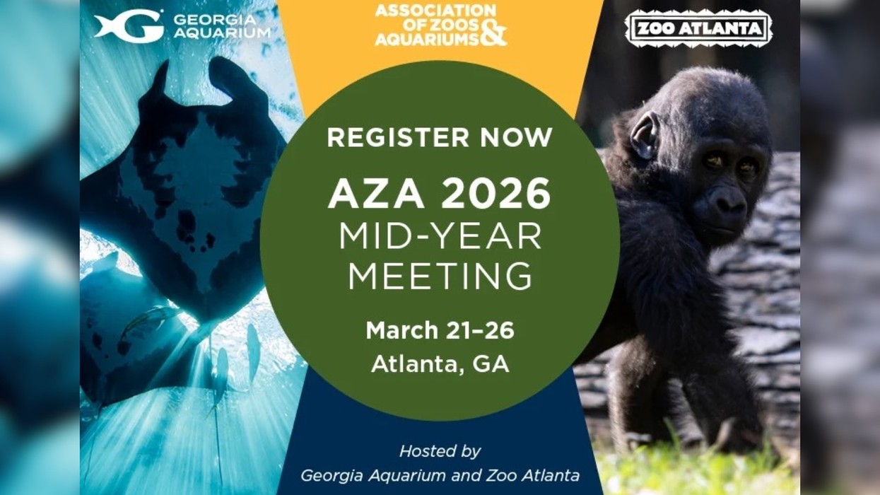 Event flyer for AZA 2026 Mid-Year Meeting, March 21-26, Atlanta, GA.