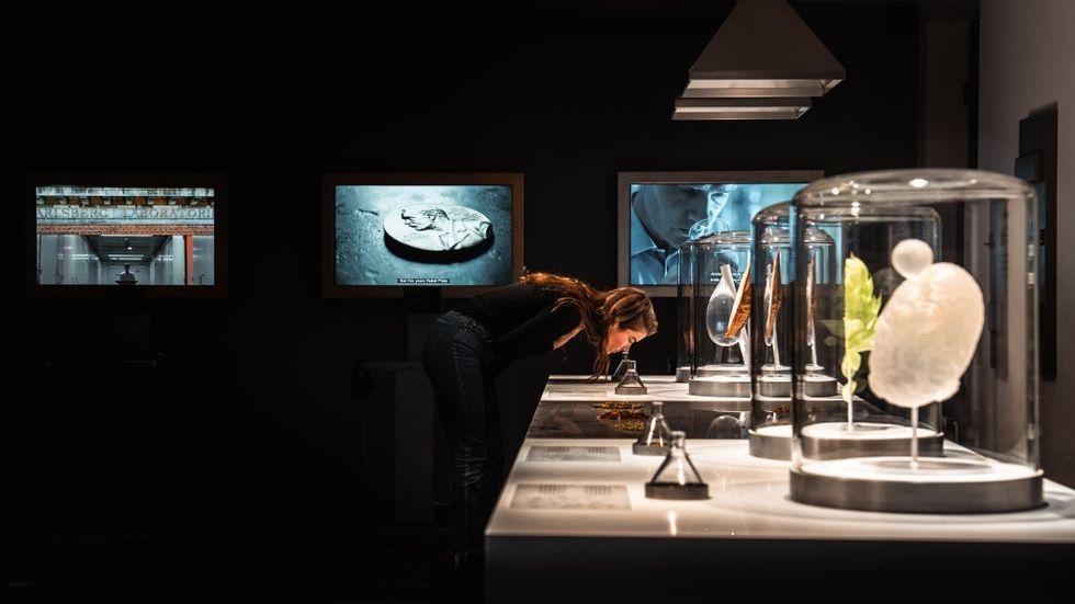 Event Home of Carlsberg redesign courtesy of Daniel Rasmussen