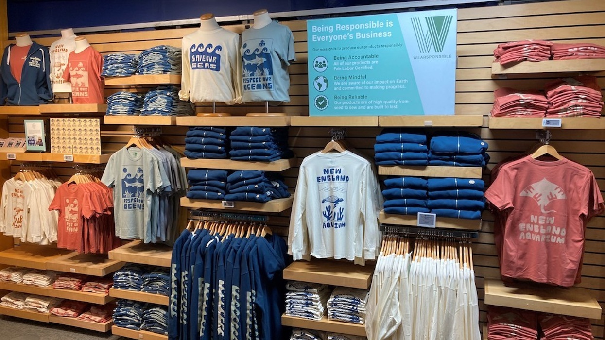 Event Network New England Aquarium Wearsponsible Wall