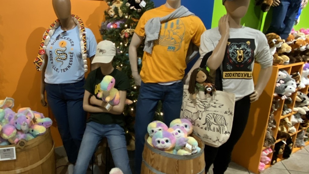 Event Network Zoo Knoxville