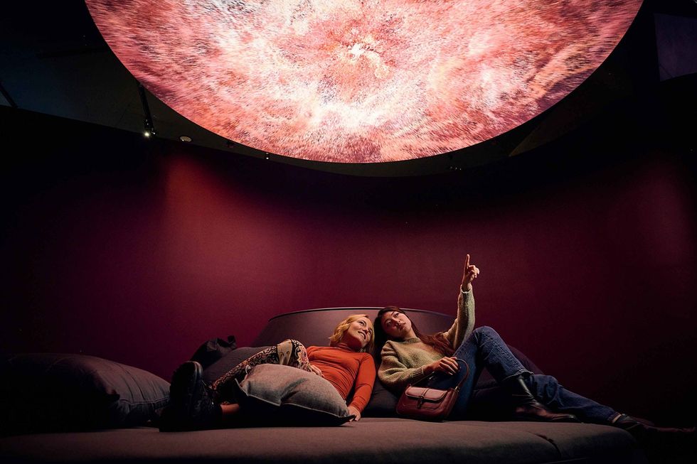 Evolver-by-Marshmallow-Laser-Feast-Works-of-Nature-ACMI-2023-image-by-Eugene-Hyland_12935-1