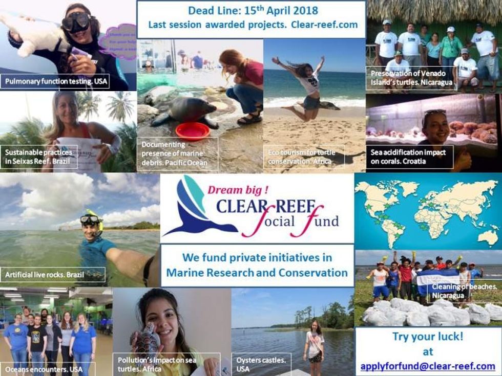 examples of conservation projects funded by clear reef