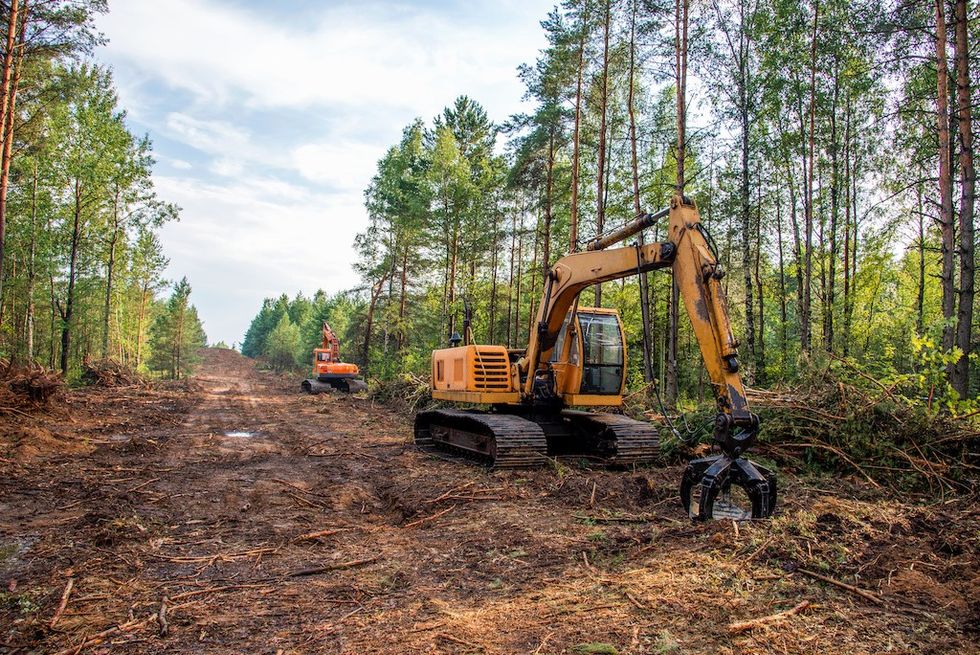 Excavators clearing a forest area under a cloudy sky.