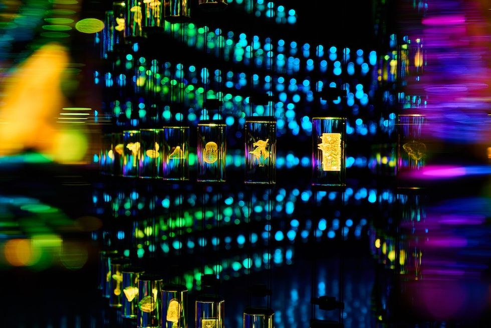 exhibit at Museum of the Future