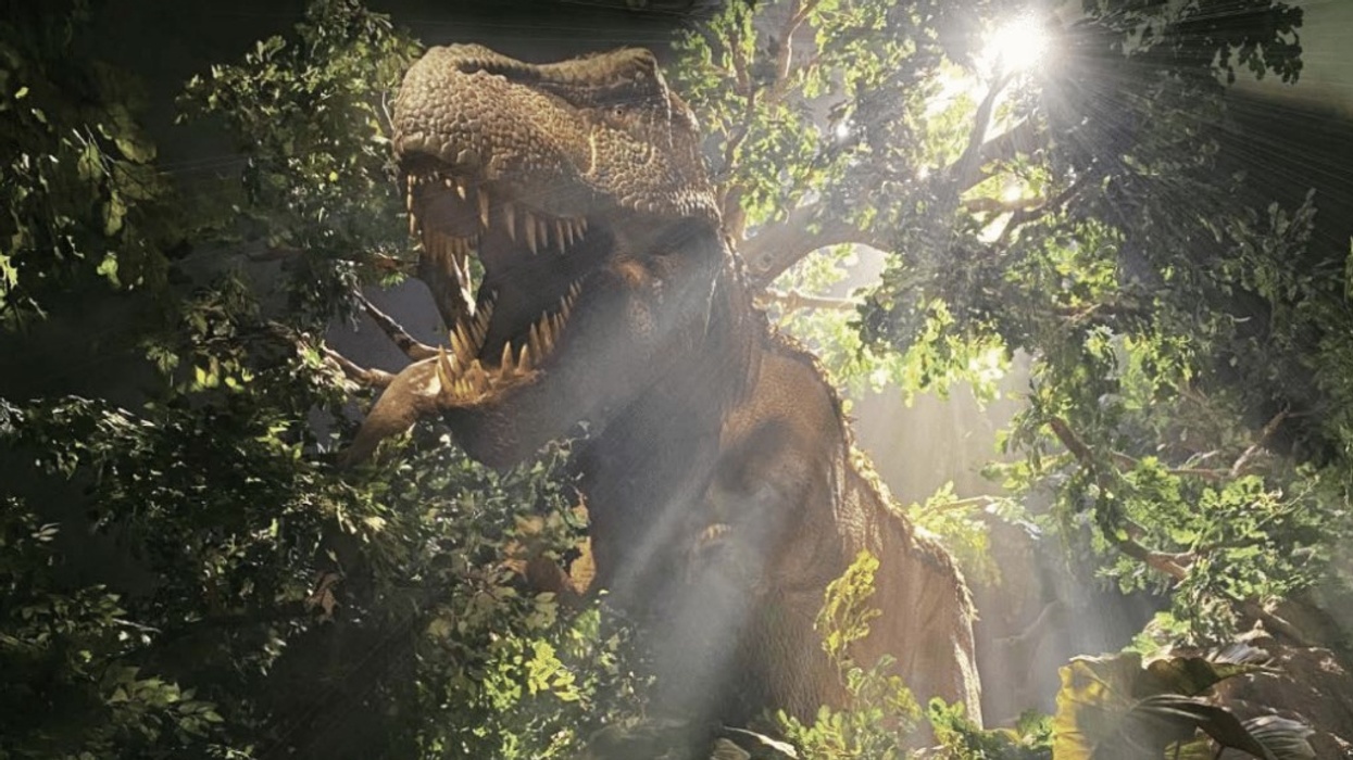 Exhibits Development Group booking for Evolution dinosaur exhibition