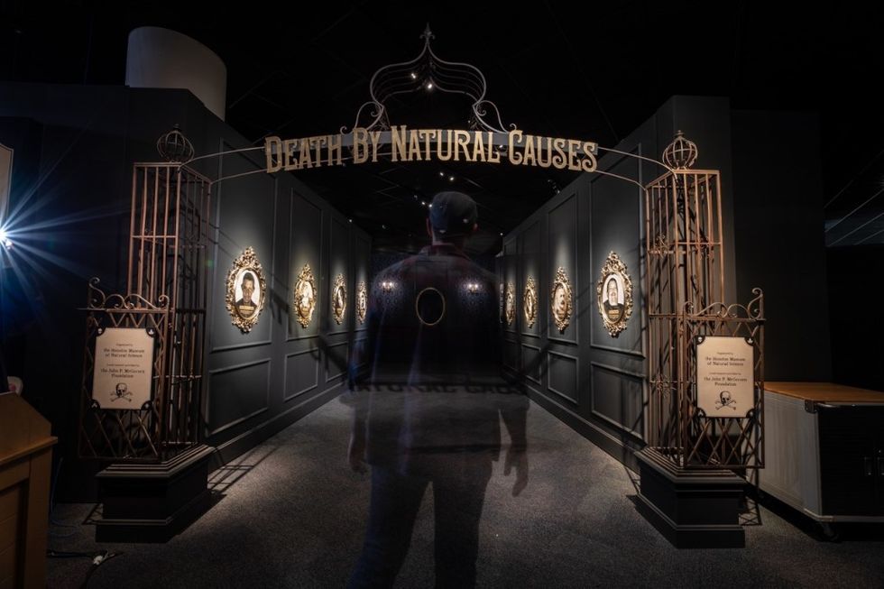 Exhibits Development Group Death by Natural Causes entrance