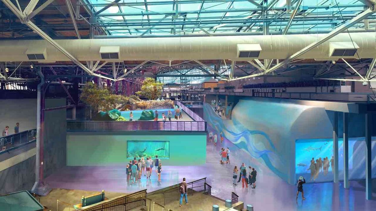 Existing_shed_view_corridor st-louis-aquarium