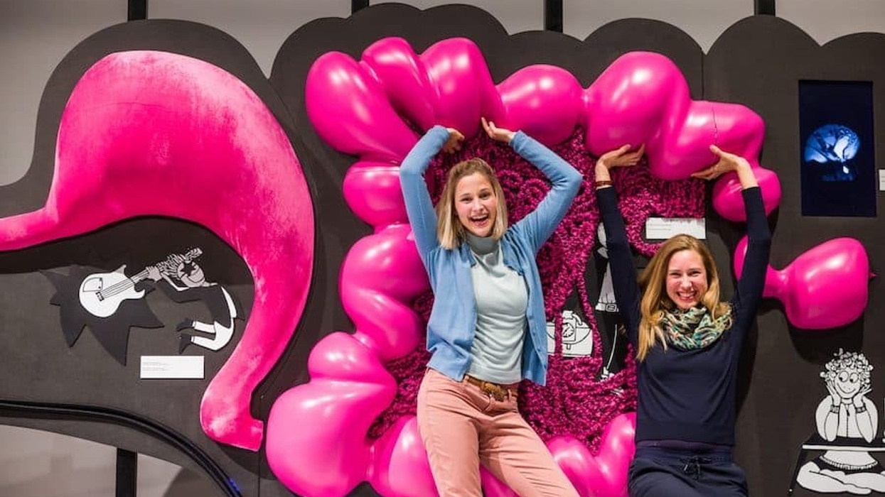 experimenta-darm-mit-charme