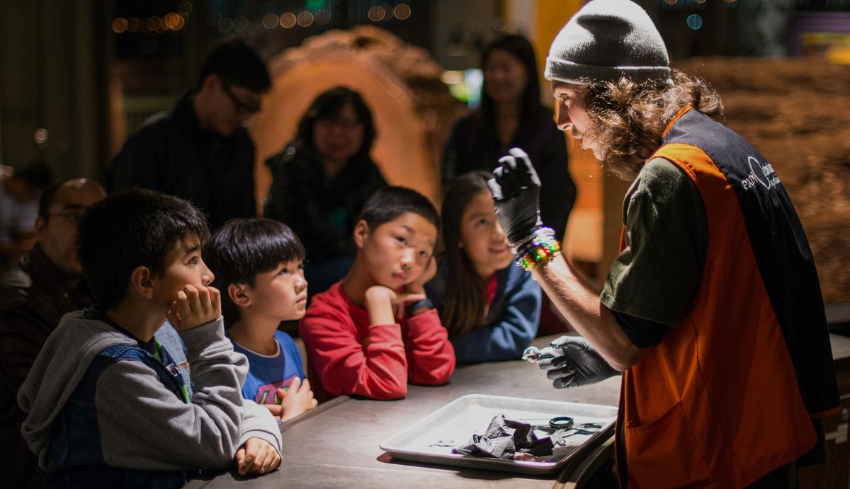 Explainer Demo Exploratorium