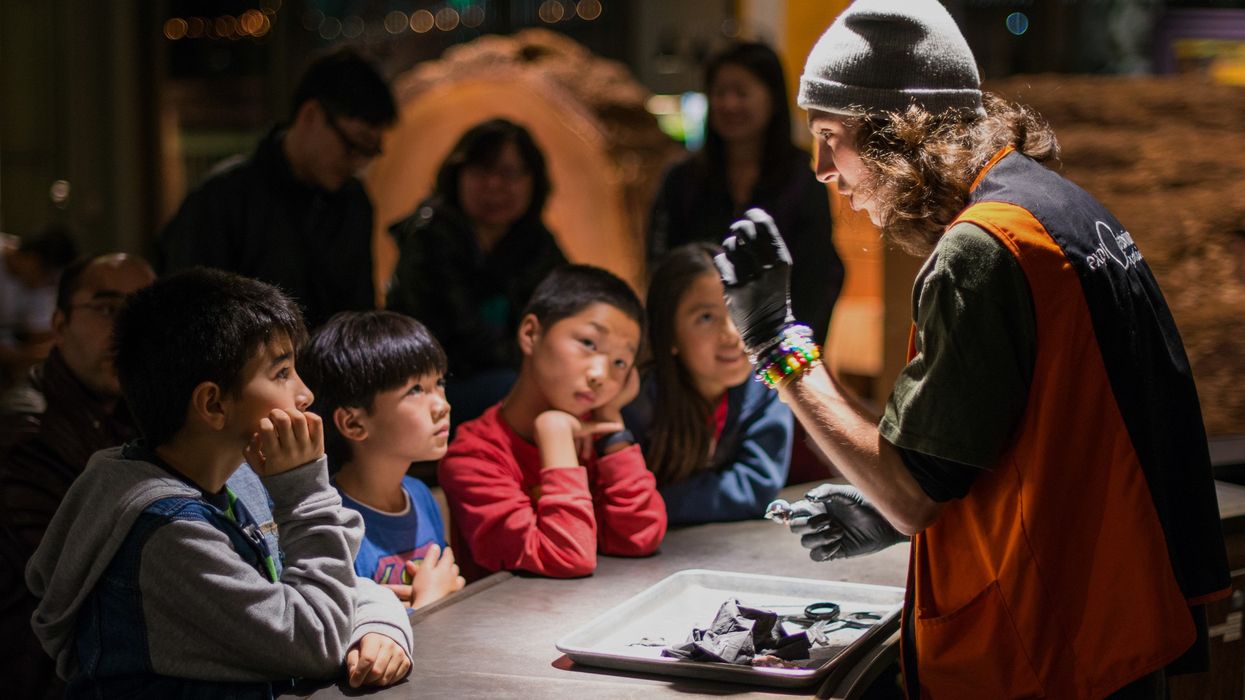 Explainer Demo Exploratorium