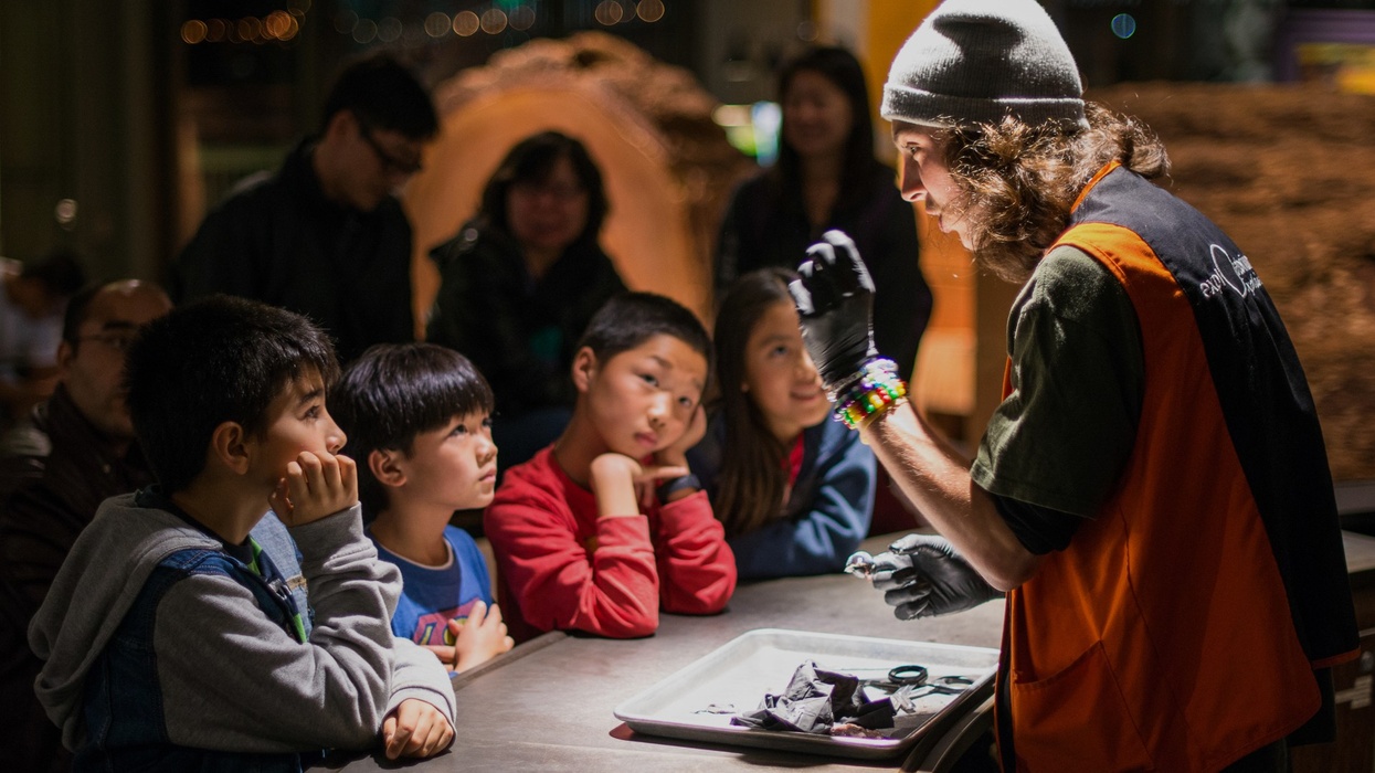 Explainer Demo Exploratorium