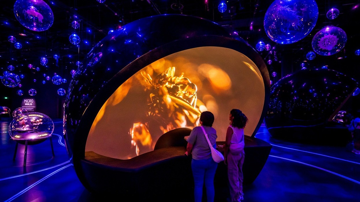 exploria mandai wildlife