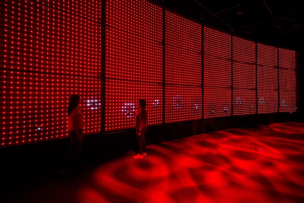 exploria mandai wildlife